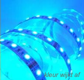 5000X8MM SMD3528