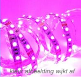 5000X10 SMD3528